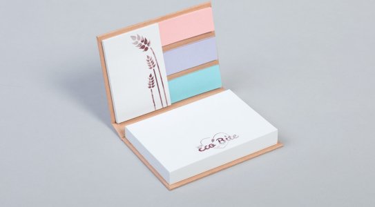 Set combi à couverture rigide contenant un bloc-notes adhésif<br />Couverture en papier craft recyclé 120 gm2, papier adhésif recyclé blanc 80 gm2 <br />Constitué de blocs adhésifs (1 X 100 feuilles et 1 X 25 feuilles)<br />D&#39;un bloc notes et d&#39;un bloc marque-pages - fabrication européenne.