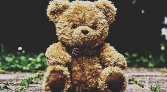 peluches